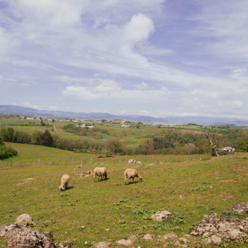 Marche pas très gourmande